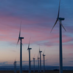 Peak Carbon:      Evidence and Prospects