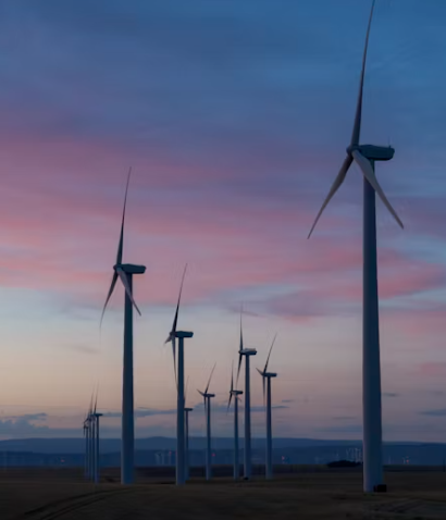 Peak Carbon:      Evidence and Prospects